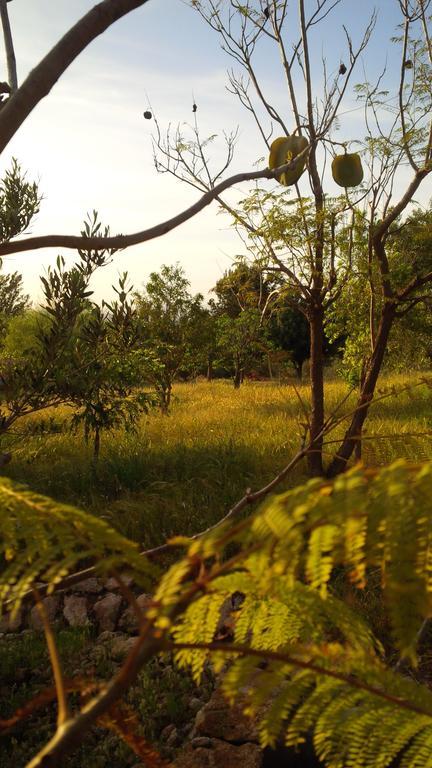 Du Souss Eco-lodge