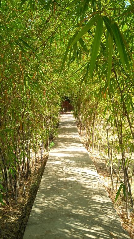 Séjour chez l'habitant Du Souss Eco-lodge Agadir